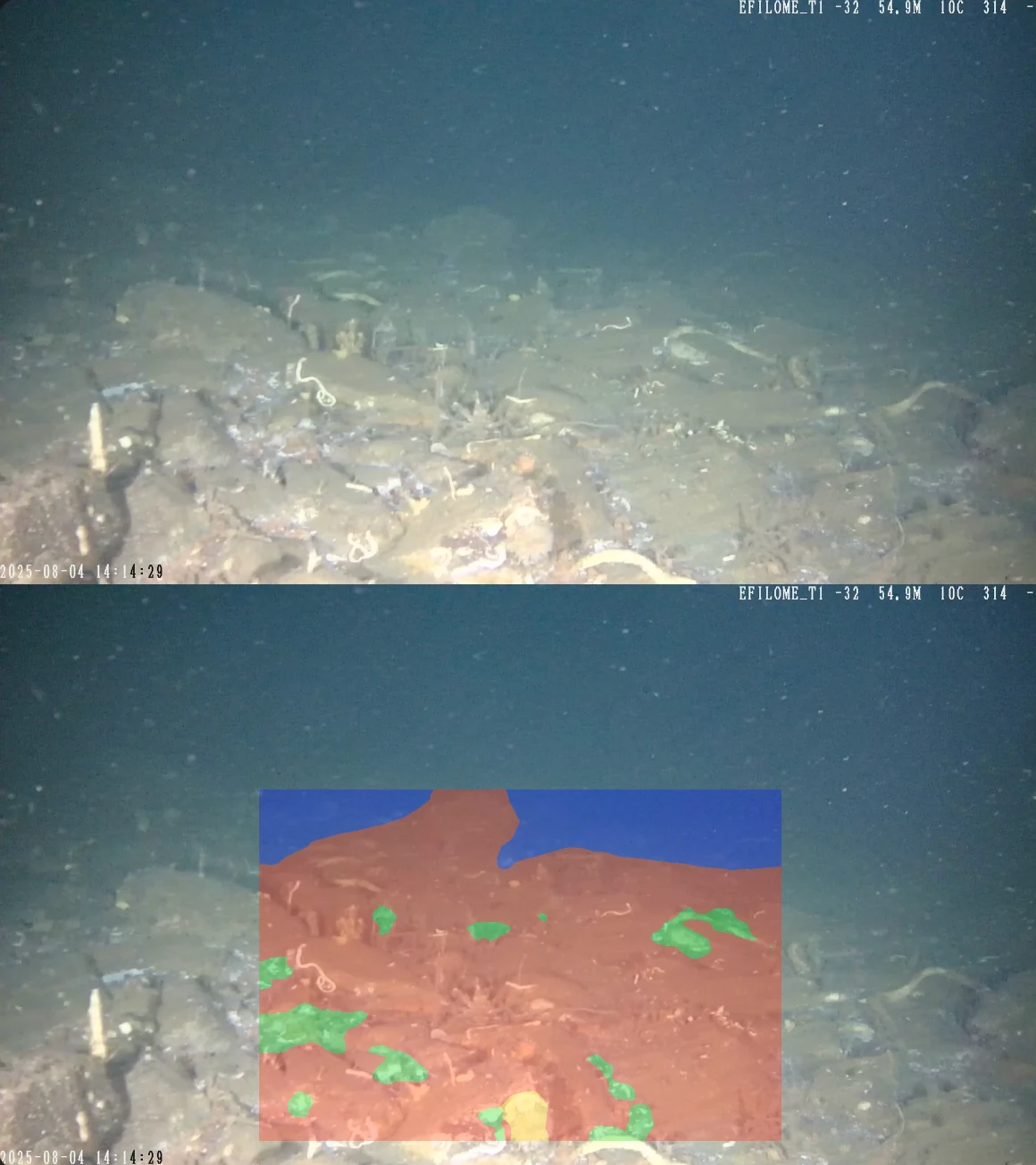 Segmentación semántica de fondo marino sobre video submarino